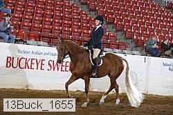 13buck_1655 proof