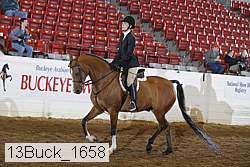 13buck_1658 proof