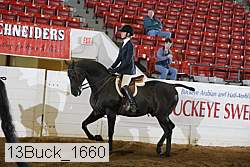 13buck_1660 proof
