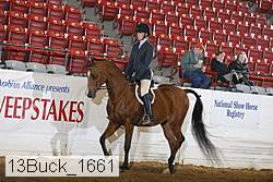 13buck_1661 proof