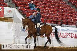 13buck_1662 proof