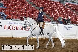 13buck_1665 proof
