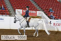 13buck_1666 proof