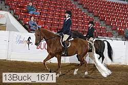 13buck_1671 proof