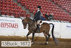13buck_1672 proof