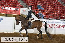 13buck_1673 proof