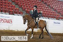 13buck_1674 proof