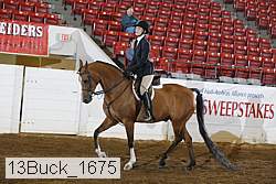 13buck_1675 proof