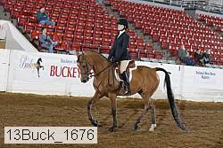13buck_1676 proof