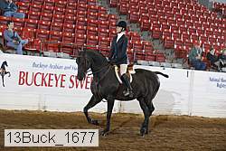 13buck_1677 proof