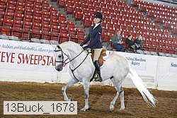 13buck_1678 proof