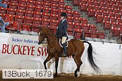 13buck_1679 proof