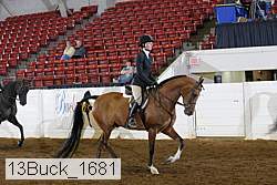 13buck_1681 proof