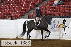 13buck_1683 proof