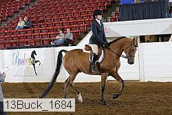 13buck_1684 proof