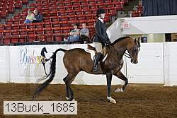 13buck_1685 proof