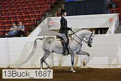 13buck_1687 proof