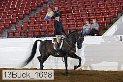 13buck_1688 proof