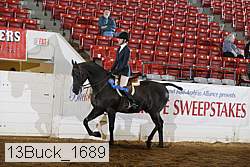 13buck_1689 proof
