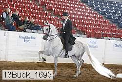 13buck_1695 proof