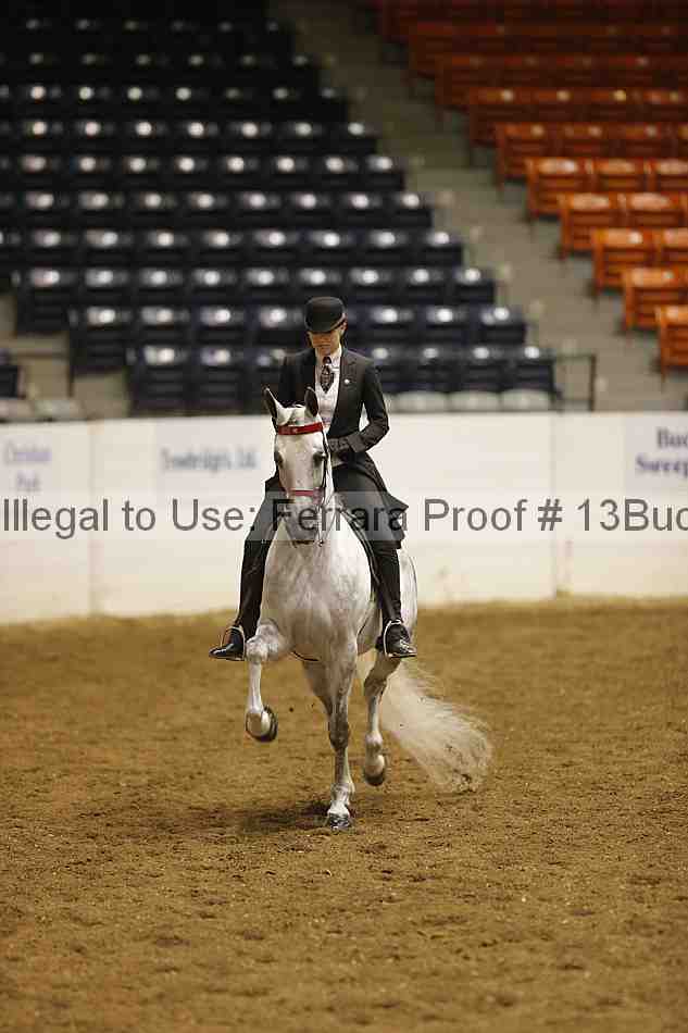 Proof 13buck_1696