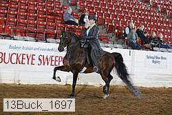 13buck_1697 proof