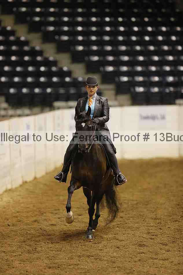 Proof 13buck_1698