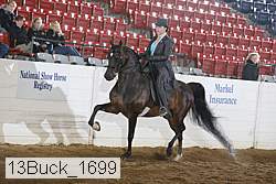 13buck_1699 proof