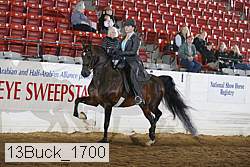 13buck_1700 proof