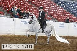 13buck_1701 proof