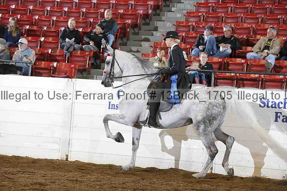Proof 13buck_1705