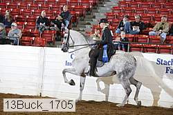 13buck_1705 proof