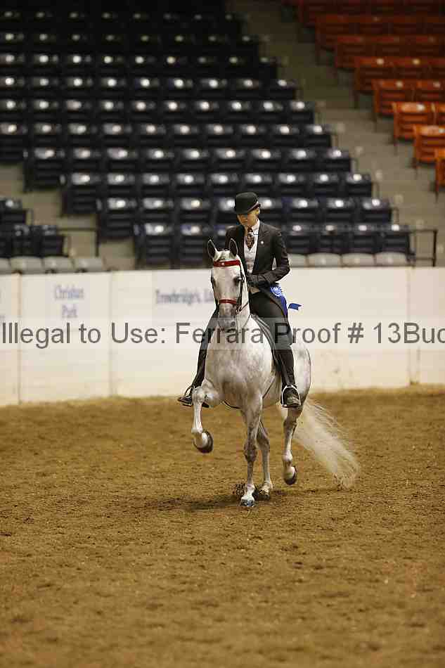 Proof 13buck_1706
