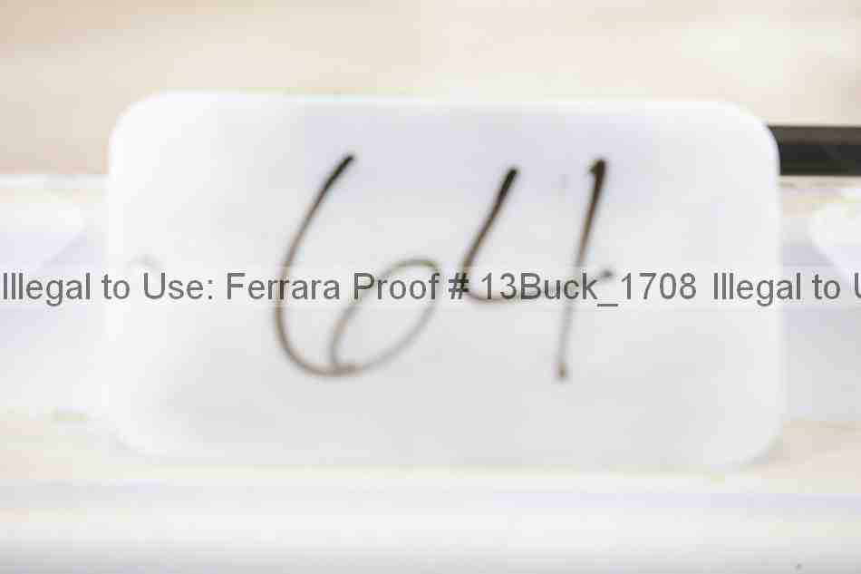Proof 13buck_1708