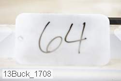 13buck_1708 proof