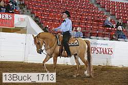 13buck_1713 proof