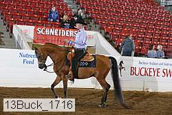 13buck_1716 proof