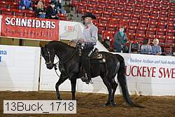 13buck_1718 proof