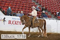 13buck_1719 proof