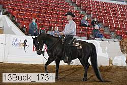 13buck_1731 proof