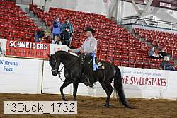 13buck_1732 proof