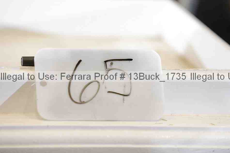 Proof 13buck_1735