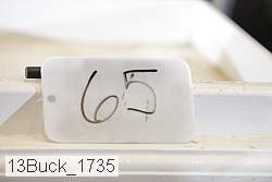 13buck_1735 proof