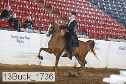 13buck_1736 proof