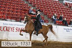 13buck_1737 proof