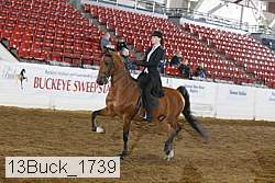13buck_1739 proof
