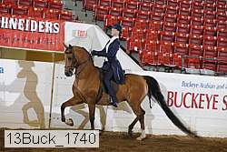13buck_1740 proof
