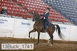 13buck_1741 proof