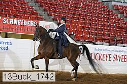 13buck_1742 proof