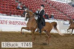 13buck_1745 proof
